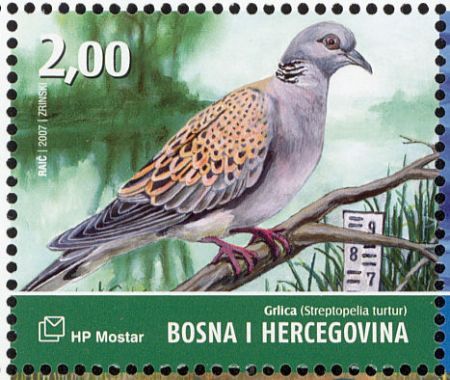 http://pernatidruzi.org.ua/pictures3/horlzvmark/2.jpg